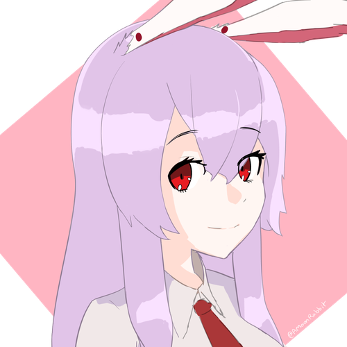 AMoonRabbit